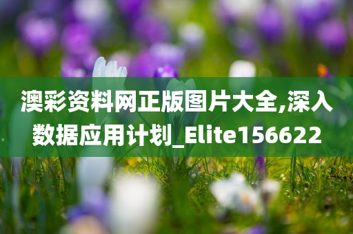 澳彩资料网正版图片大全,深入数据应用计划_Elite156622