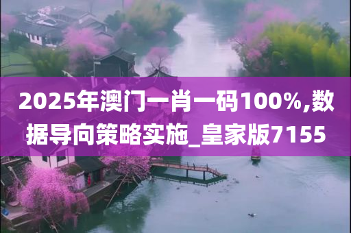 2025年澳门一肖一码100%,数据导向策略实施_皇家版7155