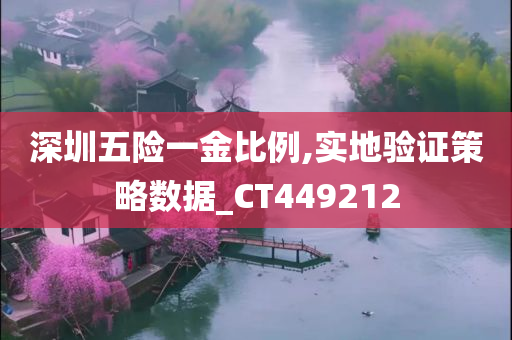 深圳五险一金比例,实地验证策略数据_CT449212