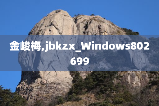 金峻梅,jbkzx_Windows802699