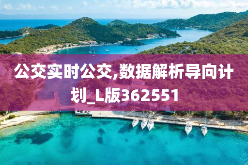 公交实时公交,数据解析导向计划_L版362551