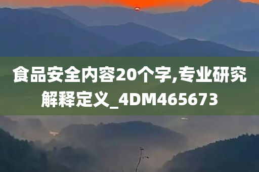 食品安全内容20个字,专业研究解释定义_4DM465673