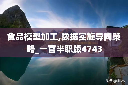 食品模型加工,数据实施导向策略_一官半职版4743