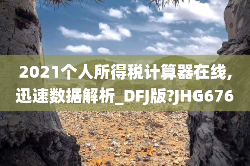 2021个人所得税计算器在线,迅速数据解析_DFJ版?JHG676