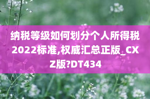 纳税等级如何划分个人所得税2022标准,权威汇总正版_CXZ版?DT434