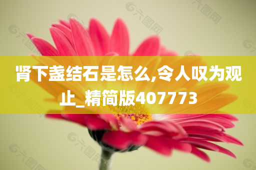 肾下盏结石是怎么,令人叹为观止_精简版407773