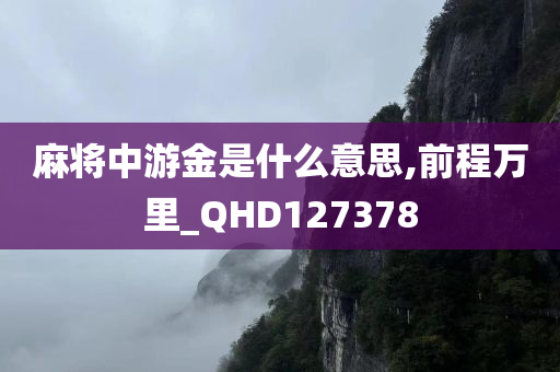 麻将中游金是什么意思,前程万里_QHD127378