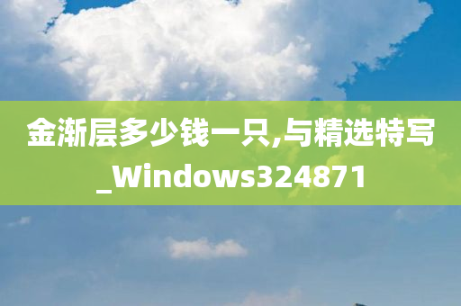 金渐层多少钱一只,与精选特写_Windows324871