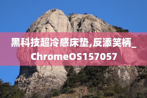 黑科技超冷感床垫,反添笑柄_ChromeOS157057