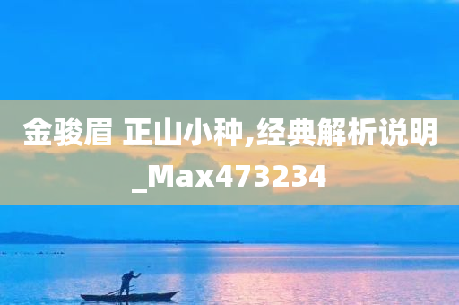 金骏眉 正山小种,经典解析说明_Max473234