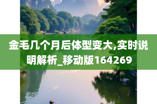 金毛几个月后体型变大,实时说明解析_移动版164269