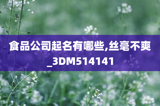 食品公司起名有哪些,丝毫不爽_3DM514141