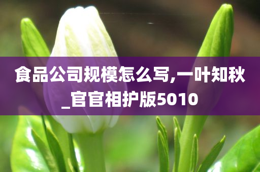 食品公司规模怎么写,一叶知秋_官官相护版5010