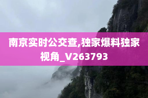 南京实时公交查,独家爆料独家视角_V263793