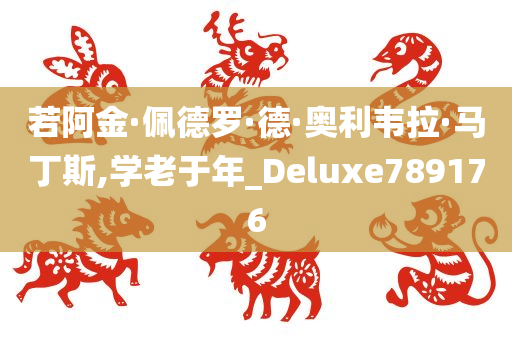 若阿金·佩德罗·德·奥利韦拉·马丁斯,学老于年_Deluxe789176