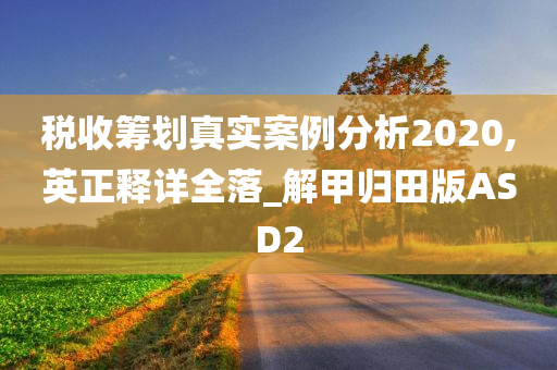 税收筹划真实案例分析2020,英正释详全落_解甲归田版ASD2