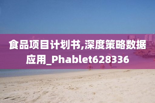 食品项目计划书,深度策略数据应用_Phablet628336