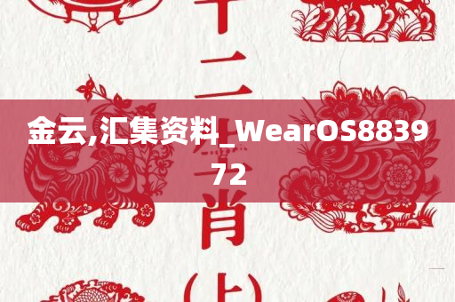 金云,汇集资料_WearOS883972