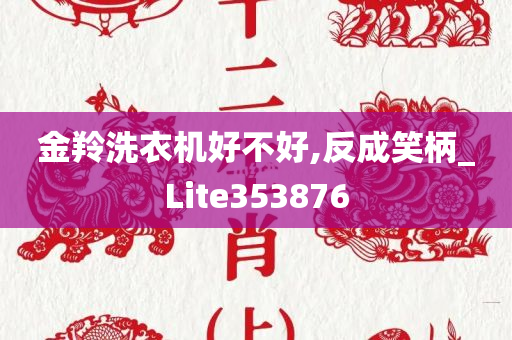 金羚洗衣机好不好,反成笑柄_Lite353876