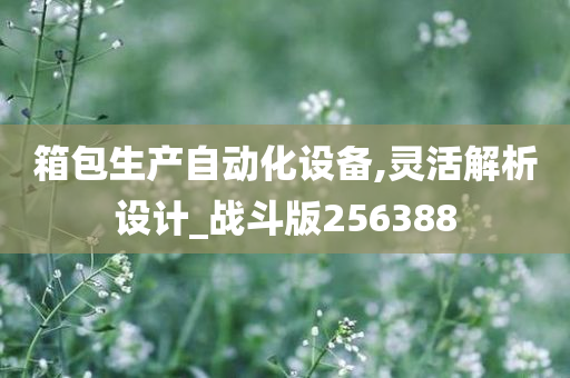 箱包生产自动化设备,灵活解析设计_战斗版256388