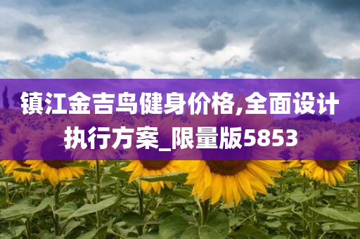 镇江金吉鸟健身价格,全面设计执行方案_限量版5853