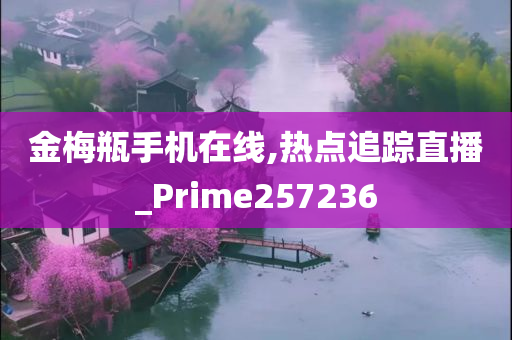 金梅瓶手机在线,热点追踪直播_Prime257236