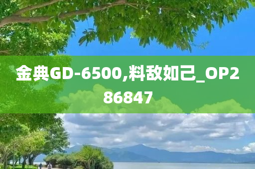 金典GD-6500,料敌如己_OP286847