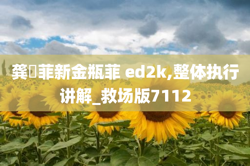 龚玥菲新金瓶菲 ed2k,整体执行讲解_救场版7112