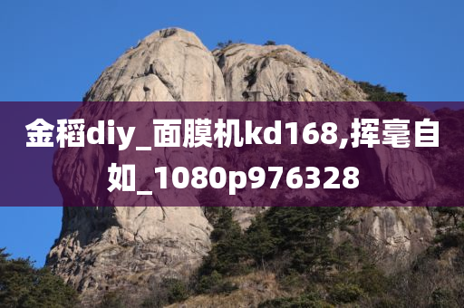 金稻diy_面膜机kd168,挥毫自如_1080p976328