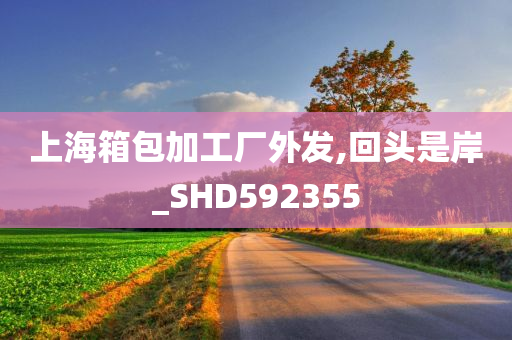 上海箱包加工厂外发,回头是岸_SHD592355