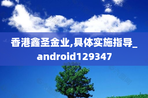 香港鑫圣金业,具体实施指导_android129347