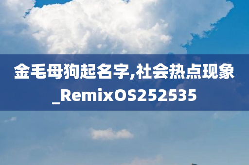 金毛母狗起名字,社会热点现象_RemixOS252535