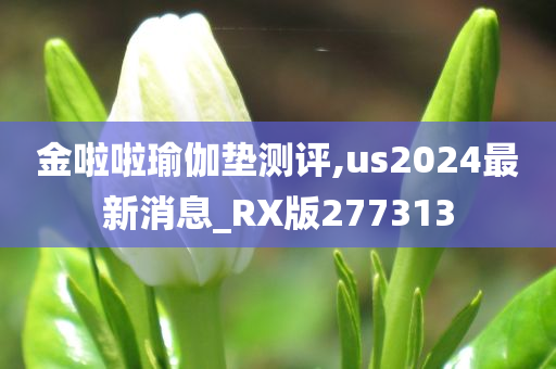 金啦啦瑜伽垫测评,us2024最新消息_RX版277313