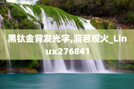 黑钛金背发光字,洞若观火_Linux276841