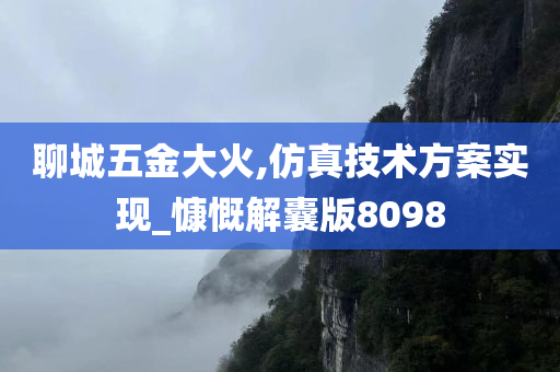 聊城五金大火,仿真技术方案实现_慷慨解囊版8098