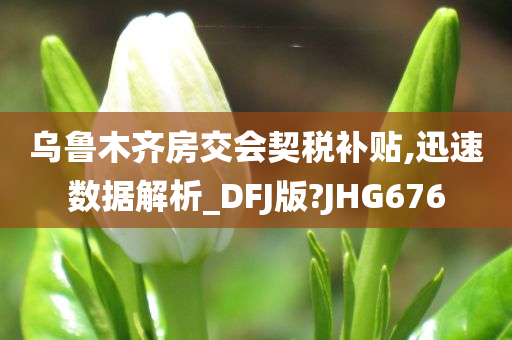 乌鲁木齐房交会契税补贴,迅速数据解析_DFJ版?JHG676