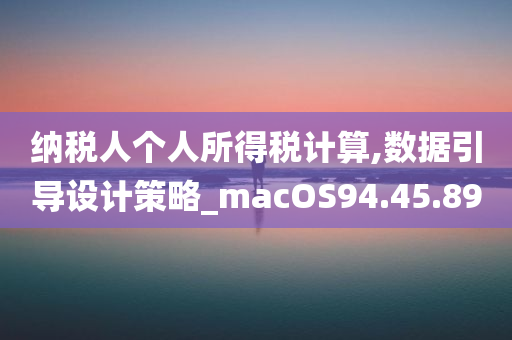 纳税人个人所得税计算,数据引导设计策略_macOS94.45.89