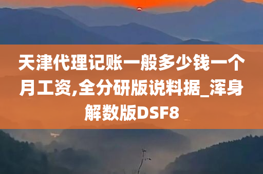 天津代理记账一般多少钱一个月工资,全分研版说料据_浑身解数版DSF8