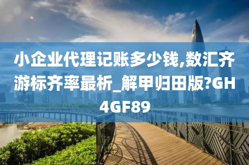 小企业代理记账多少钱,数汇齐游标齐率最析_解甲归田版?GH4GF89