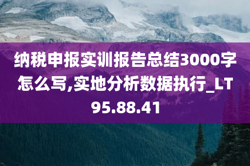 纳税申报实训报告总结3000字怎么写,实地分析数据执行_LT95.88.41