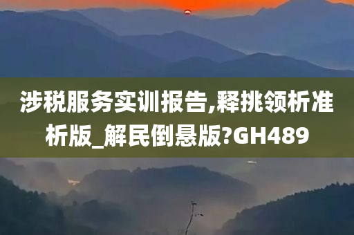 涉税服务实训报告,释挑领析准析版_解民倒悬版?GH489