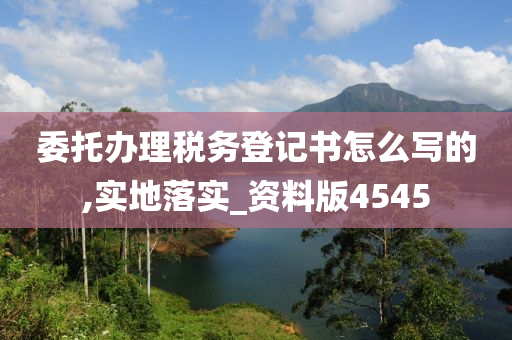 委托办理税务登记书怎么写的,实地落实_资料版4545