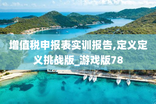 增值税申报表实训报告,定义定义挑战版_游戏版78