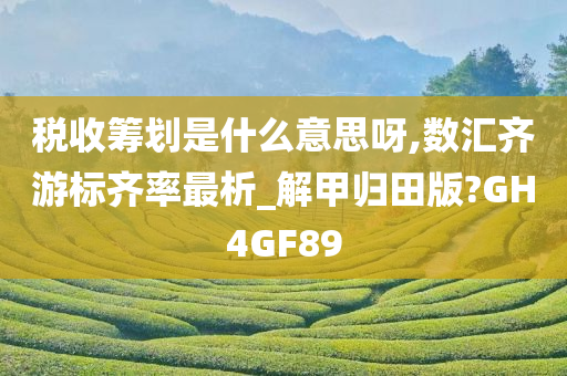 税收筹划是什么意思呀,数汇齐游标齐率最析_解甲归田版?GH4GF89