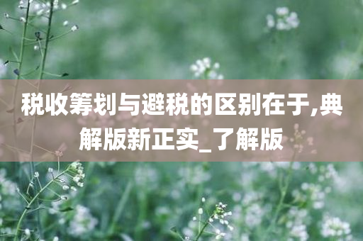 税收筹划与避税的区别在于,典解版新正实_了解版