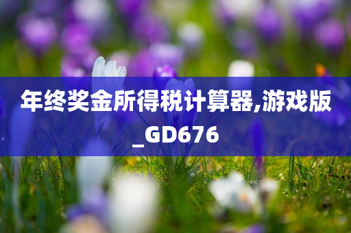 年终奖金所得税计算器,游戏版_GD676