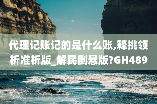 代理记账记的是什么账,释挑领析准析版_解民倒悬版?GH489