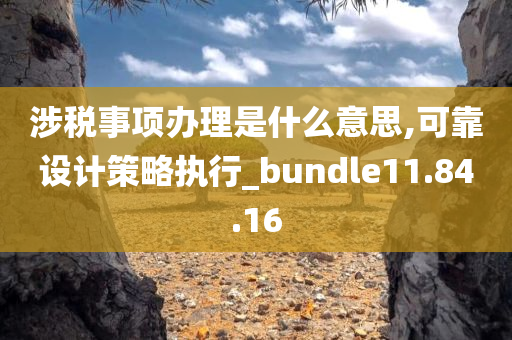 涉税事项办理是什么意思,可靠设计策略执行_bundle11.84.16