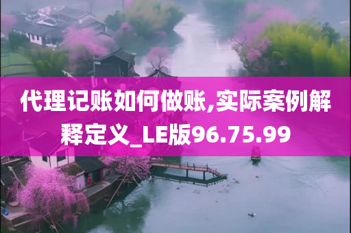 代理记账如何做账,实际案例解释定义_LE版96.75.99