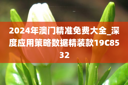 2024年澳门精准免费大全_深度应用策略数据精装款19C8532